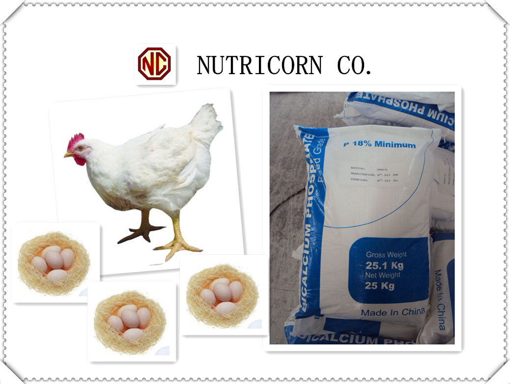 18% Dicalcium Phosphate Feed Fodder Nutricorn, China