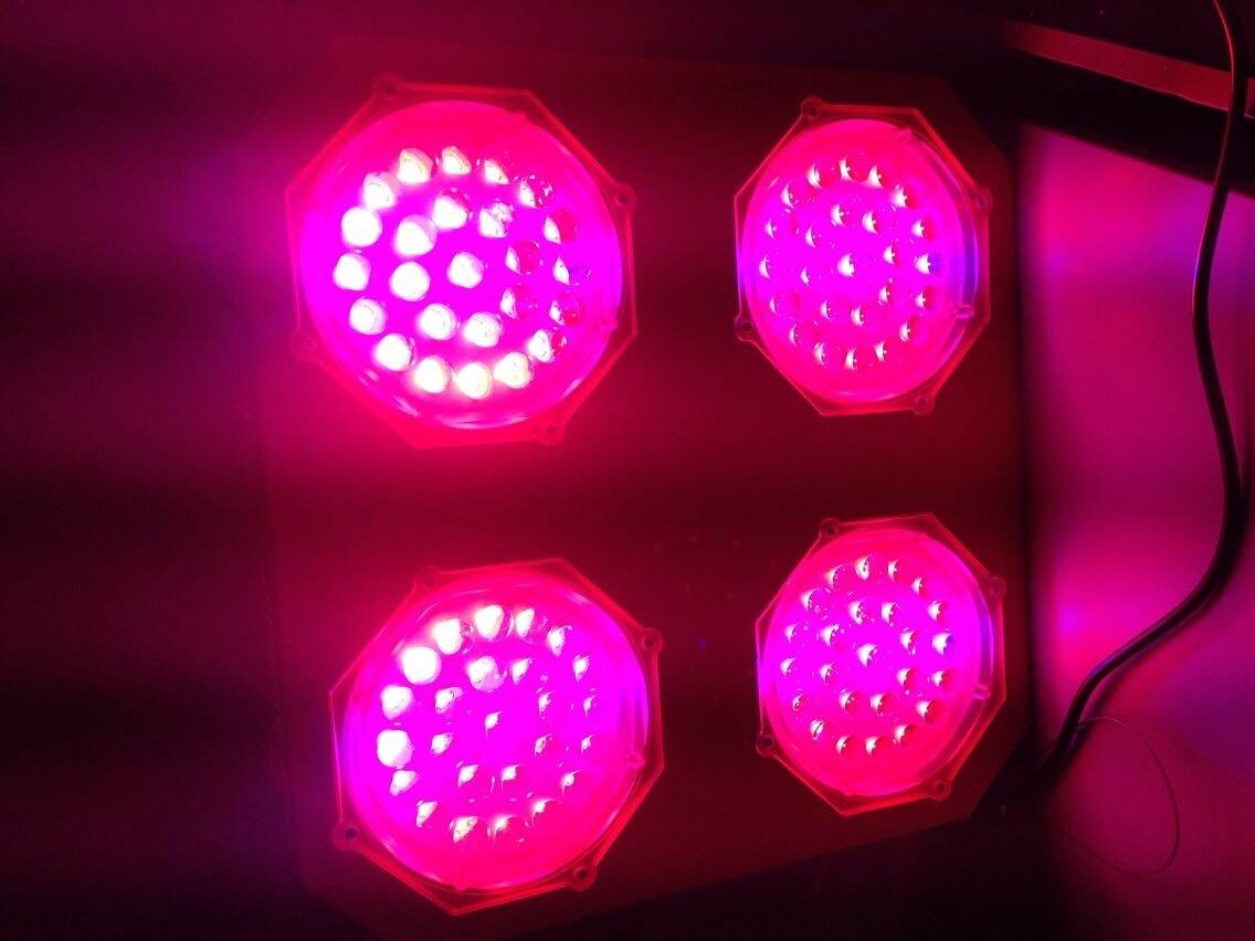 High Power, 300W with Full Spectrum LED Grow Light, Equal to 600W HPS/HID