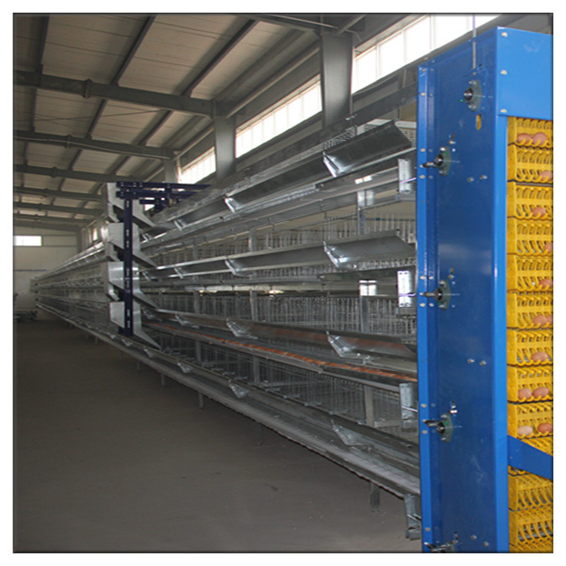 Poultry Farm Automatic Chicken Layer Cage with Feeding System