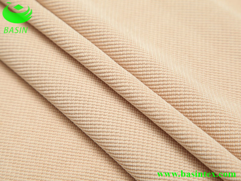 Nylon Polyester Sofa Fabric (BS2207)