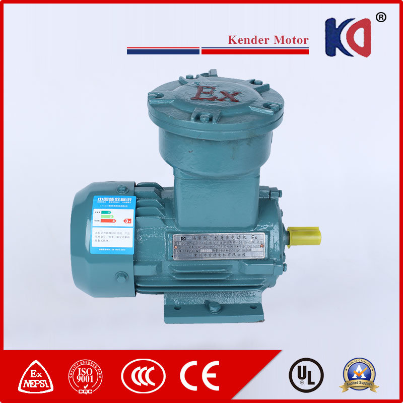 2015 Hot Sale Explosion Proof AC Electric Motor