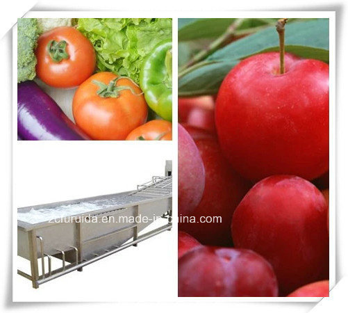 Vegetables or Fruits Cleaning/Washing Machine
