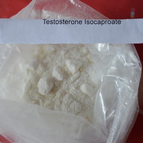 Testosterone Isocaproate Powder & Testosterone Isocaproate Steroid