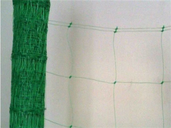 High Quality Climbing Plant Support Net (PP, PE)