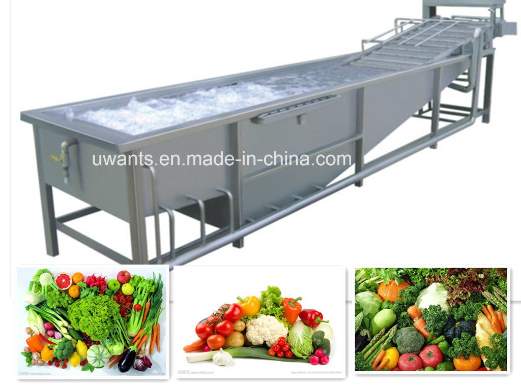High Efficiency Vegetable Fruit Washing Machine