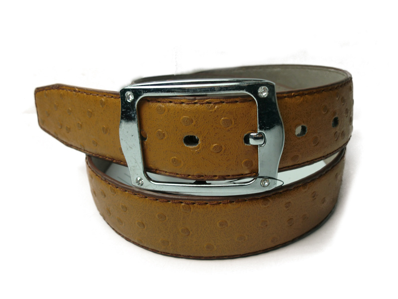 PU Belt (JB201203158)