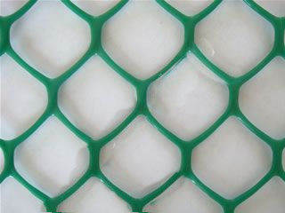 Poultry Net / Plastic Netting with High Quality (XB-PLASTIC-0017)