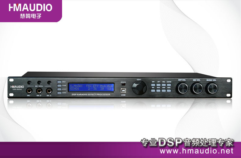 Audio Karaoke Processor (DSP-9000)