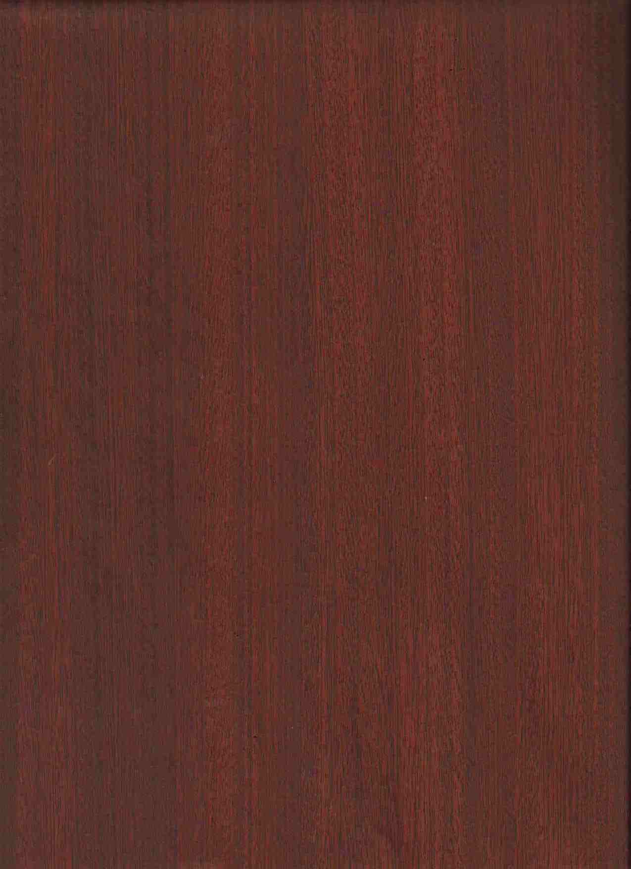 Decorative Wood Design / Color Paper (Fim Decor)