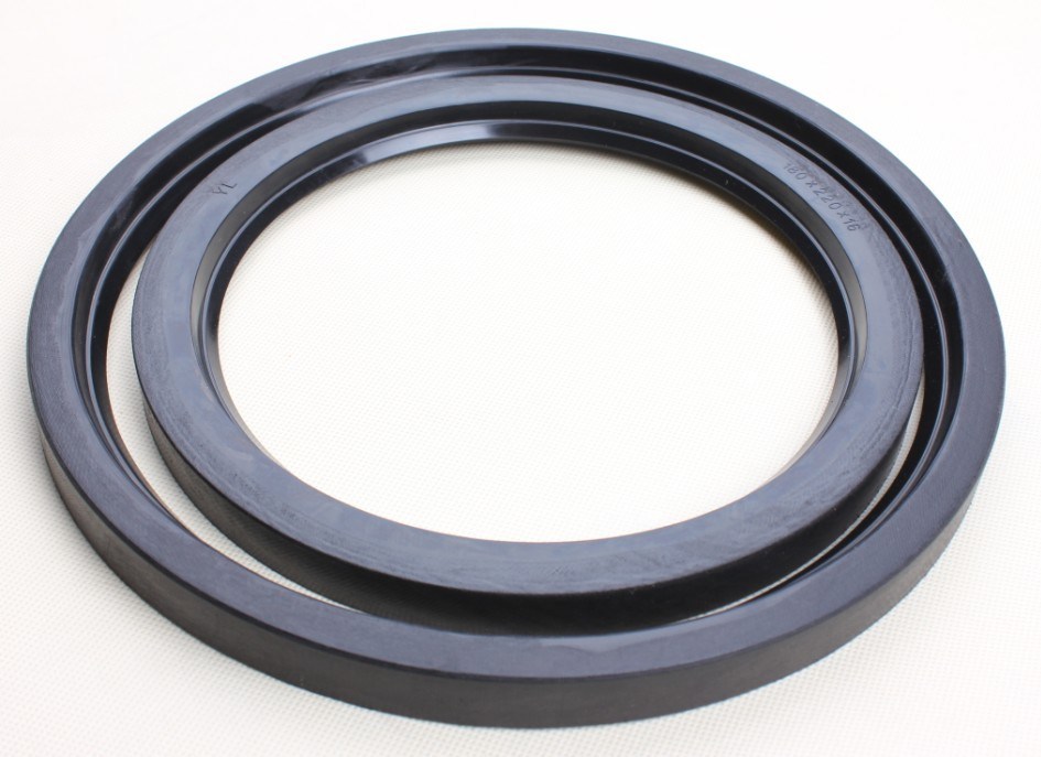 Large V Oil Seal with Cotton for Oil Press (ZB118A)