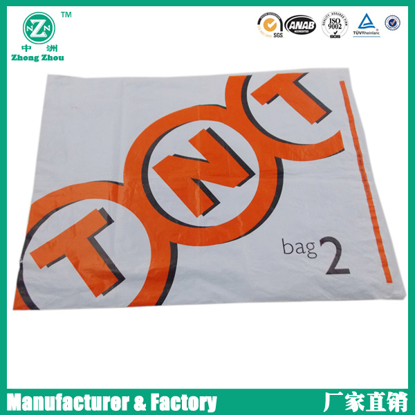 Plastic Packing Mailer Courier Bag (zzpm225)