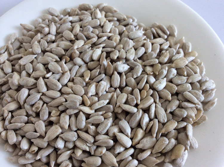Oil Sunflower Seeds Kernels with High Quality