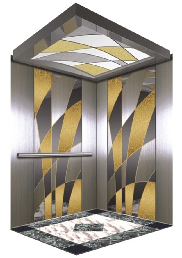 Environmental Passenger Elevator (DAIS005-6)