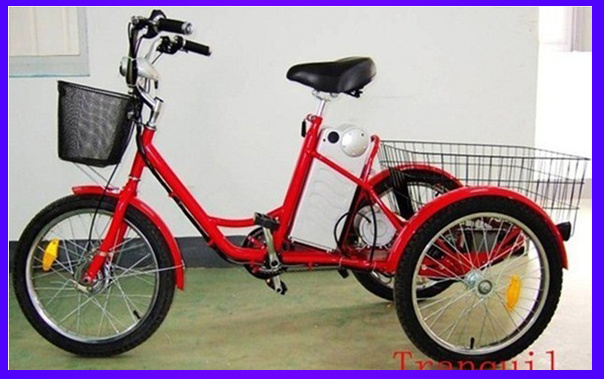 Electric Tricycle (AG-003)