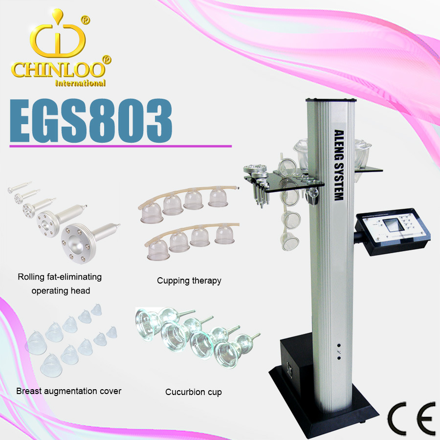 Guangzhou Chinloo Digital Breast Plumping Nipple Breast Enlargement Beauty Equipment (EGS803)