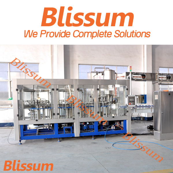 High Quality Coconut Beverage Bottling Machine/Machinery/Line/System