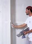 Mold Resistant Paint Additive