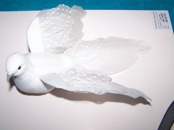 Dove for Wedding