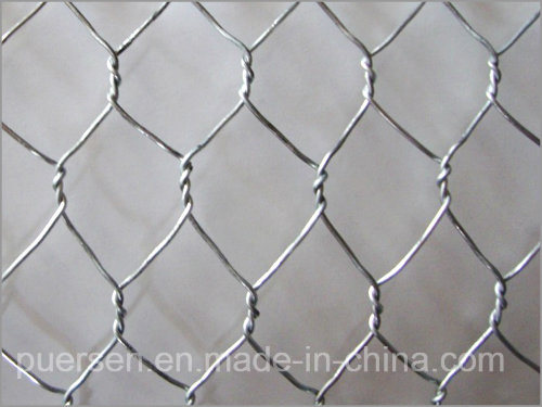 Chicken Wire Mesh and Galvanized Hexagonal Iron Wire Netting