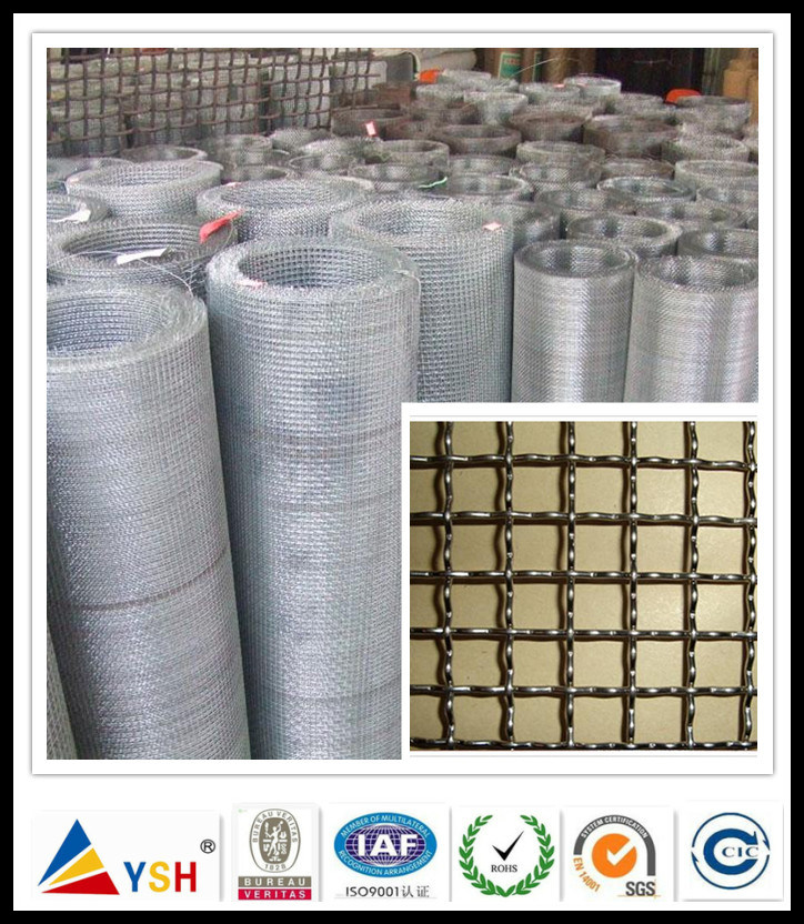 Galvanized Crimped Wire Mesh (Factory, ISO9001: 2008)