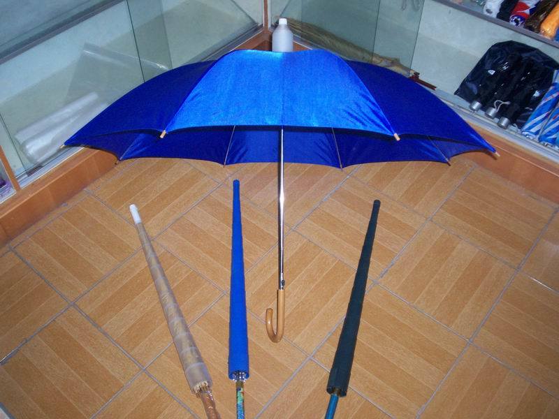 Bulwark Water Umbrella
