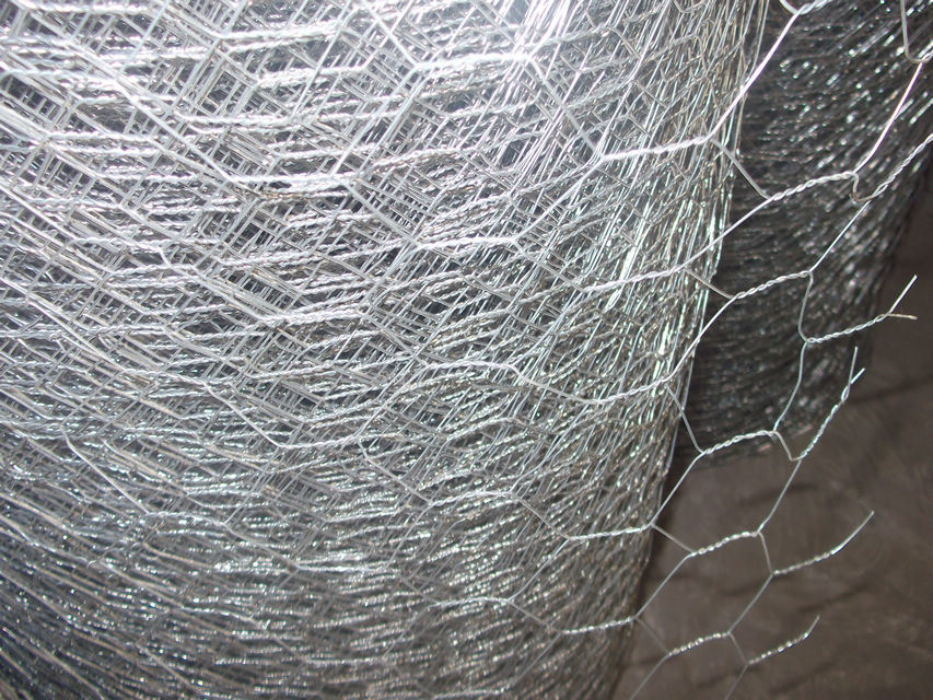 Galvanied Hexagonal Wire Netting (HWM-06)