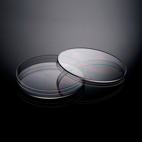 Petri Dishes 150X15mm