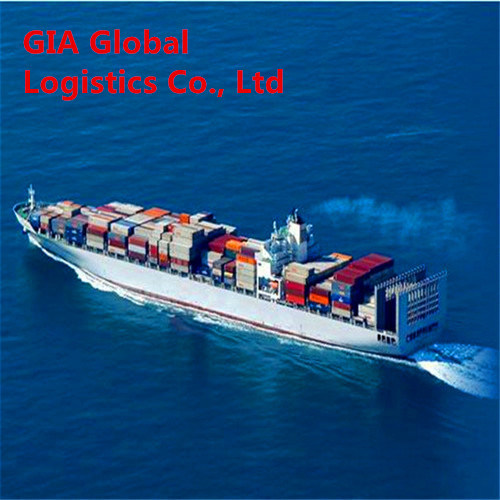 Sea Shipping Container Freight From China to Mexico