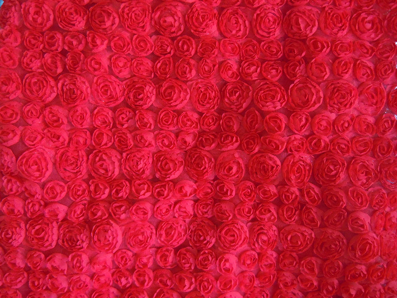 Tape Embroidery--Red (SLS1083)