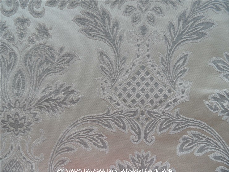 Jacquard Chenille Fabric (YYF2031A-2)