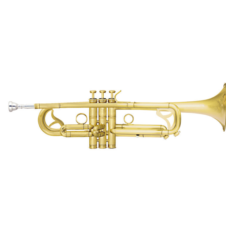 Brush Finishing Trumpet (TR-450B)