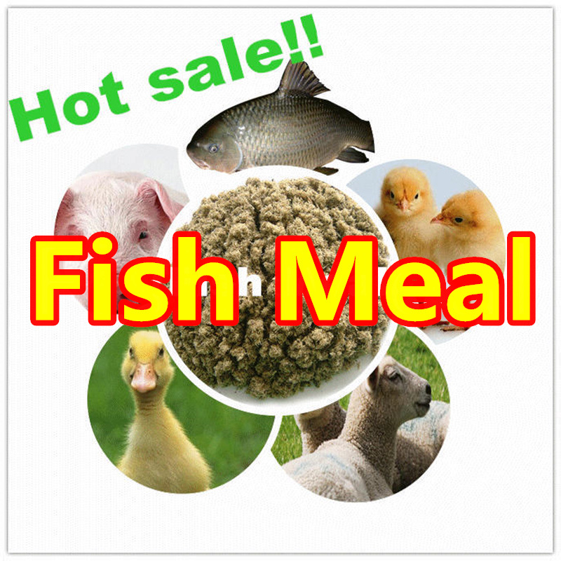 Fish Meal for Animal Protein with Competitive Price