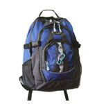 Travel Bag (LS3033)