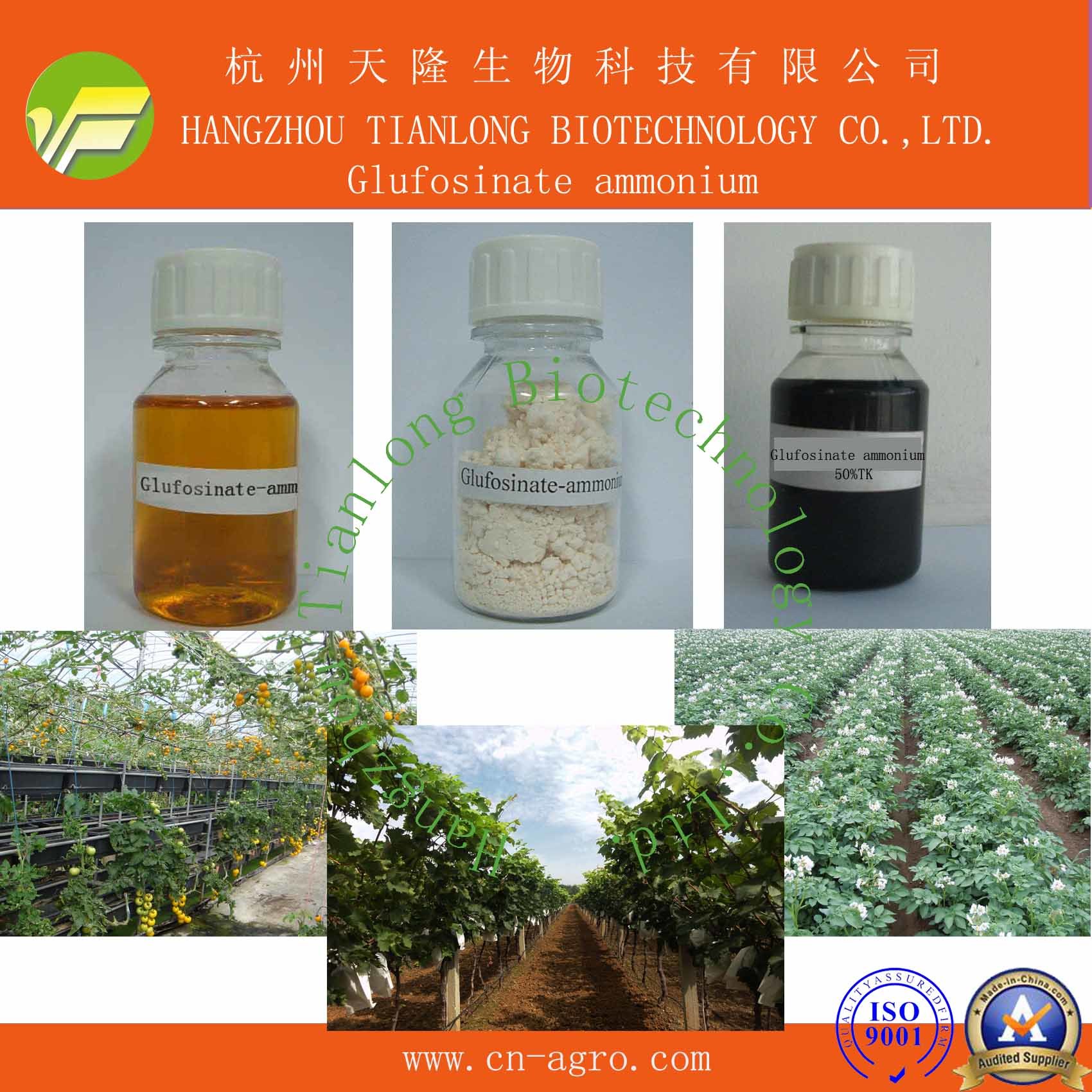 Highly Effective Herbicide Glufosinate-Ammonium (95%TC, 50%TK, 200g/L SL)