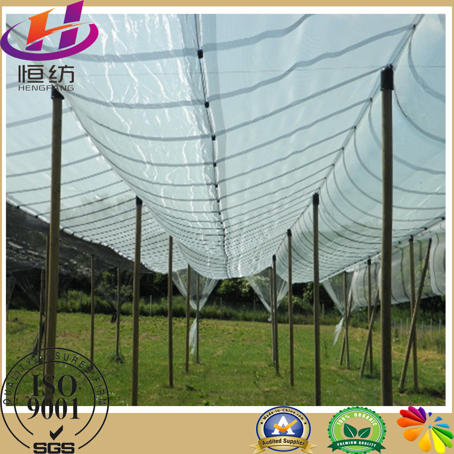 Agricultural Fabric Net Shade Net with Anti Hail for Fruit Trees