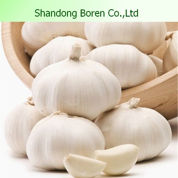 2015 Fresh White Garlic Exporter in China