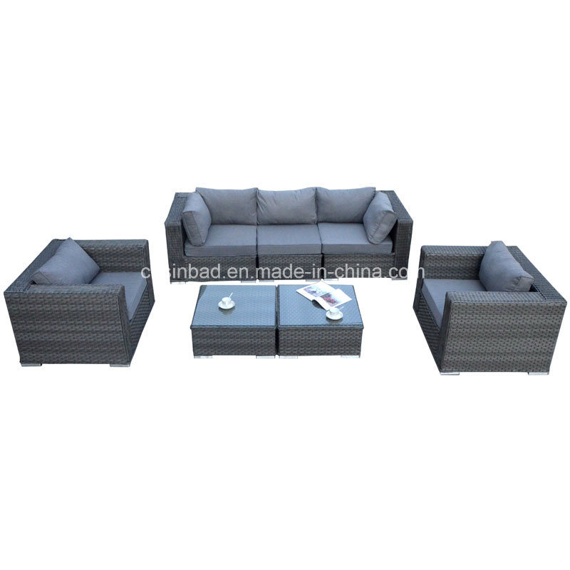 Indoor & Outdoor Rattan Furniture for Garden with Aluminum / SGS (5003)