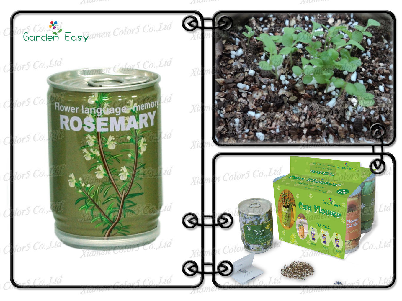 Tin Can With Seeds/Promotion Gift (903006)