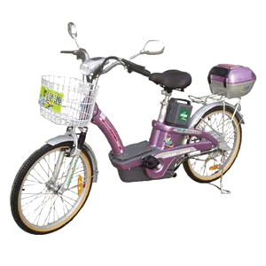 Electric Bicycle-01