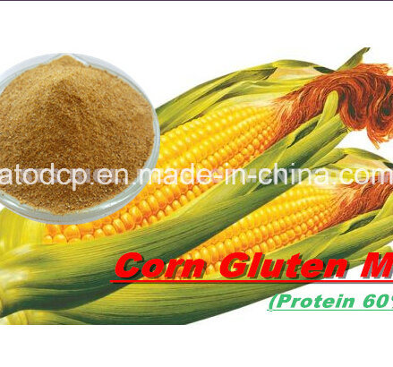 Corn Gluten Meal for Animal with Lowest Price