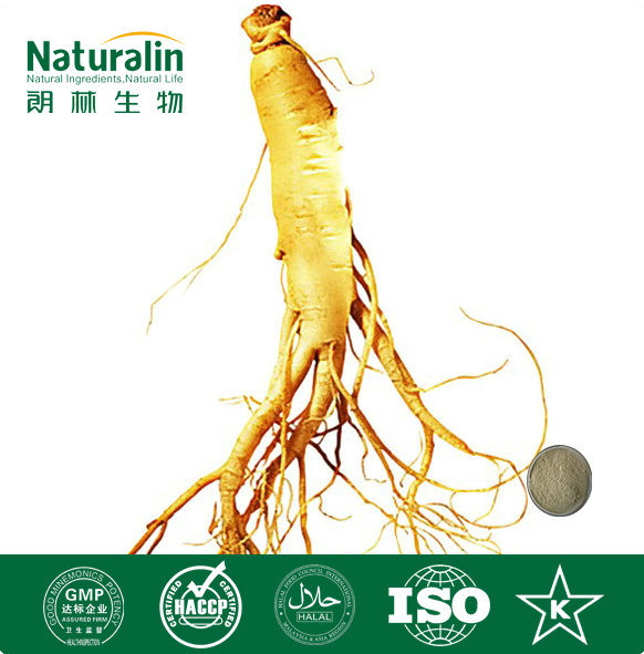 GMP Hot Sale Panax Ginseng Extract for Body Health