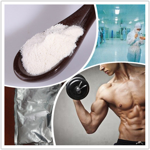 Hot Sell Synephrine Natural Plant Extract Synephrine for Weight Loss