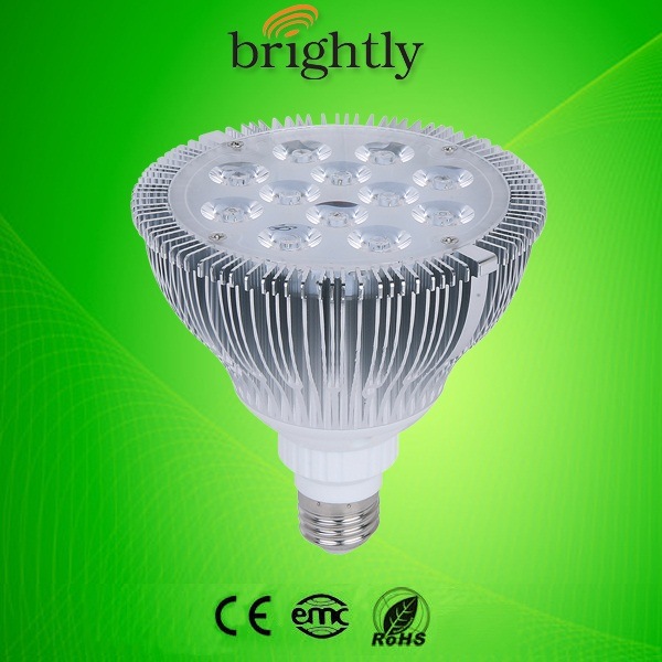 PAR38 Lamp 18W 1350lm LED Spotlight