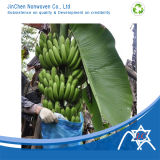 PP Nonwoven Fabric for Banana Covering Bag