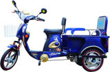 E Tricycle (AG-ETP04)