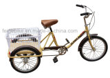 Cheap and Simple Three Wheel Cargo Tricycle (FP-TRB023)