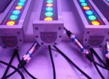 LED Wall Washer / LED Projector (YJX-QC0005) 