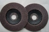 Flap Disc (Silicon Carbide)
