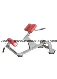 45 Degree Back Extension Commercial Fitness/Gym Equipment with SGS/CE