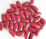 Red Kidney Beans (011)